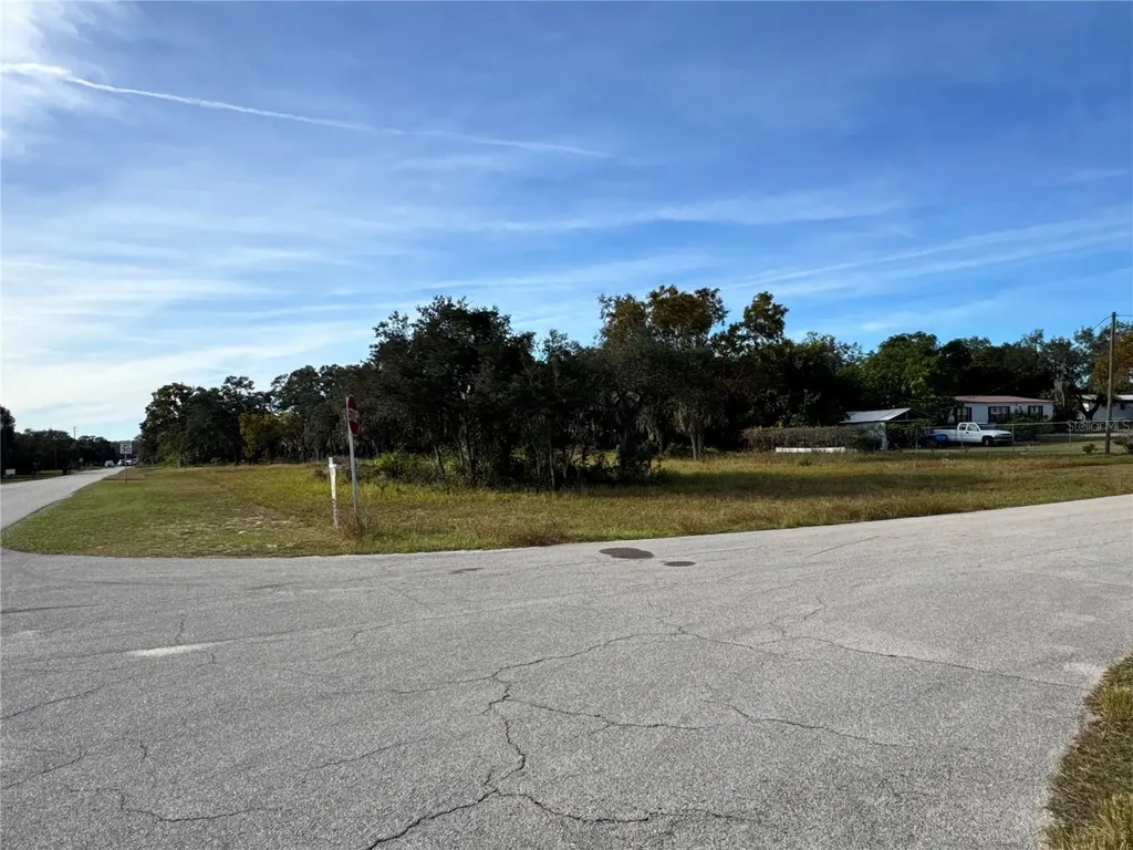 Fast Trot Trail Lake Wales FL 33898