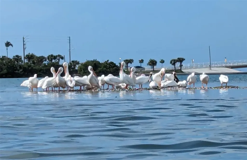 1501 Beach Road Englewood FL 34223