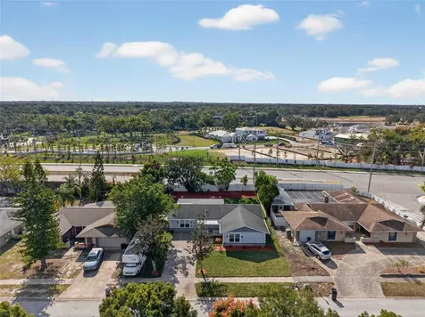 302 Leafwood Road Tarpon Springs FL 34689