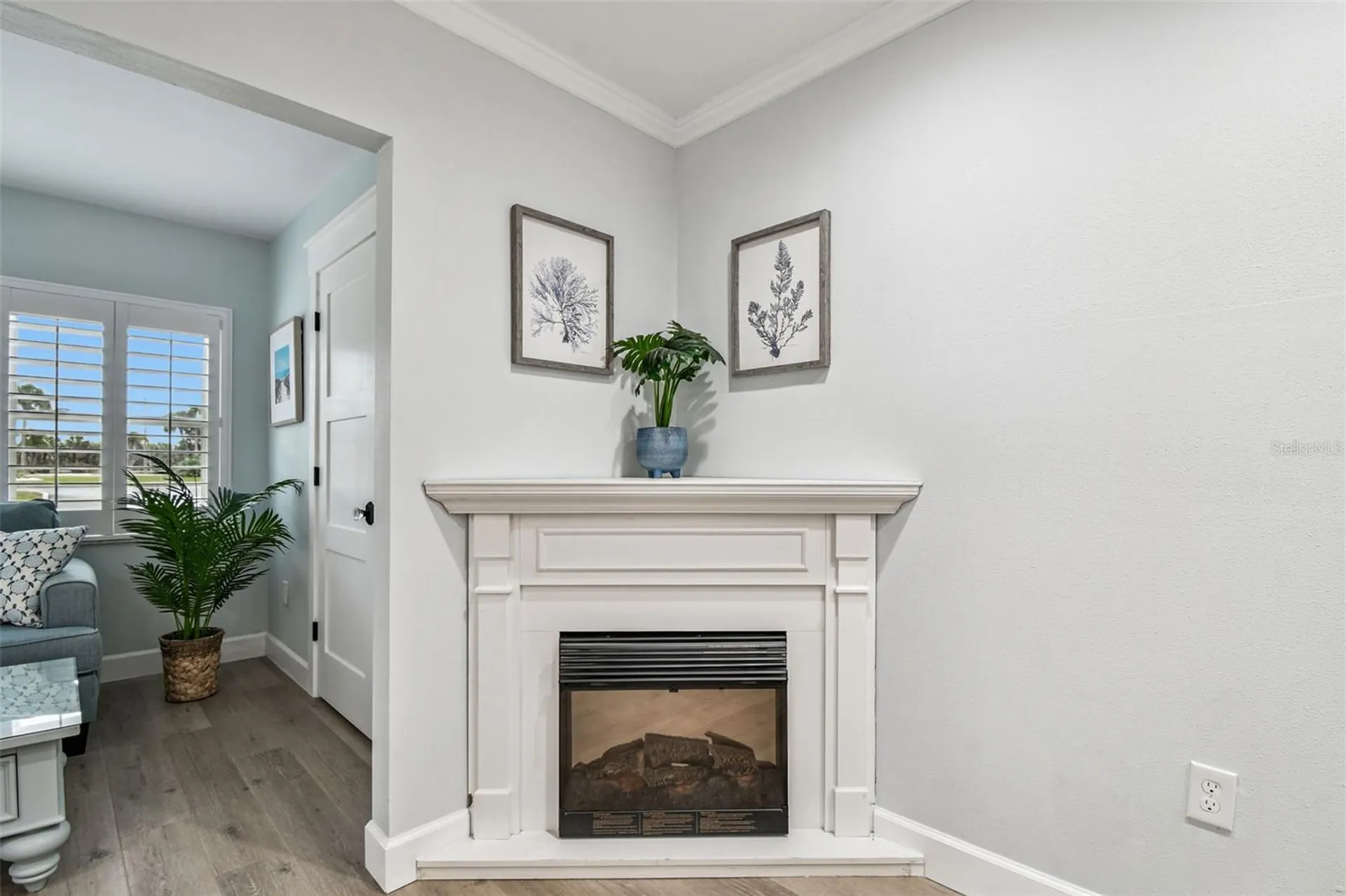 8 Glencoe Place Dunedin FL 34698