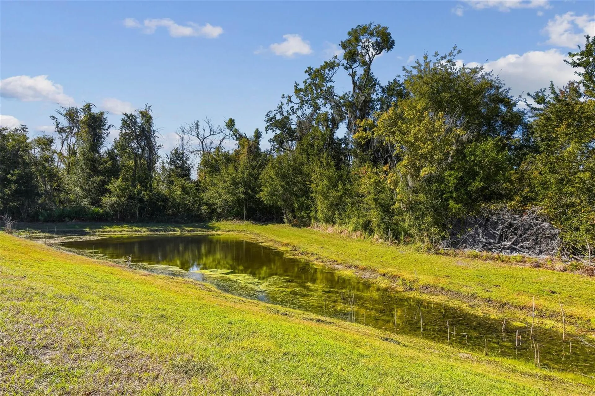 12907 Conquistador Loop Spring Hill FL 34610