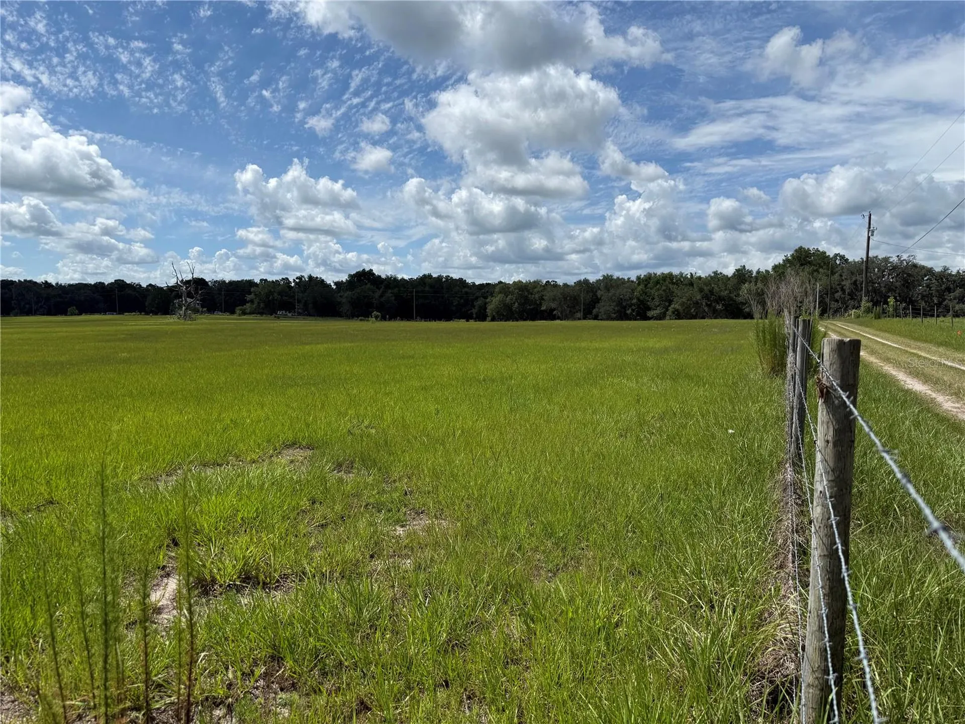 SW 60th Avenue Bushnell FL 33513