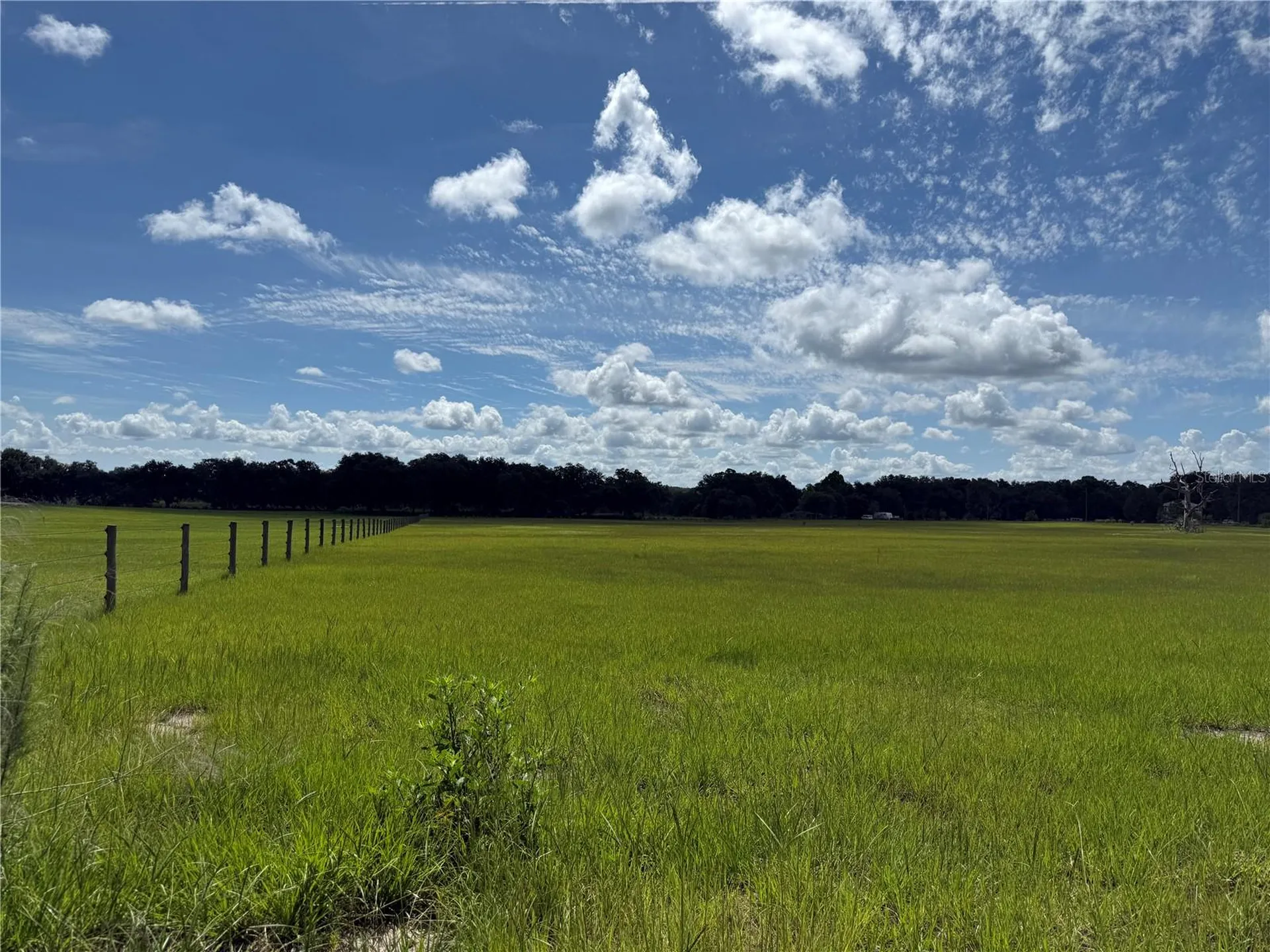 SW 60th Avenue Bushnell FL 33513