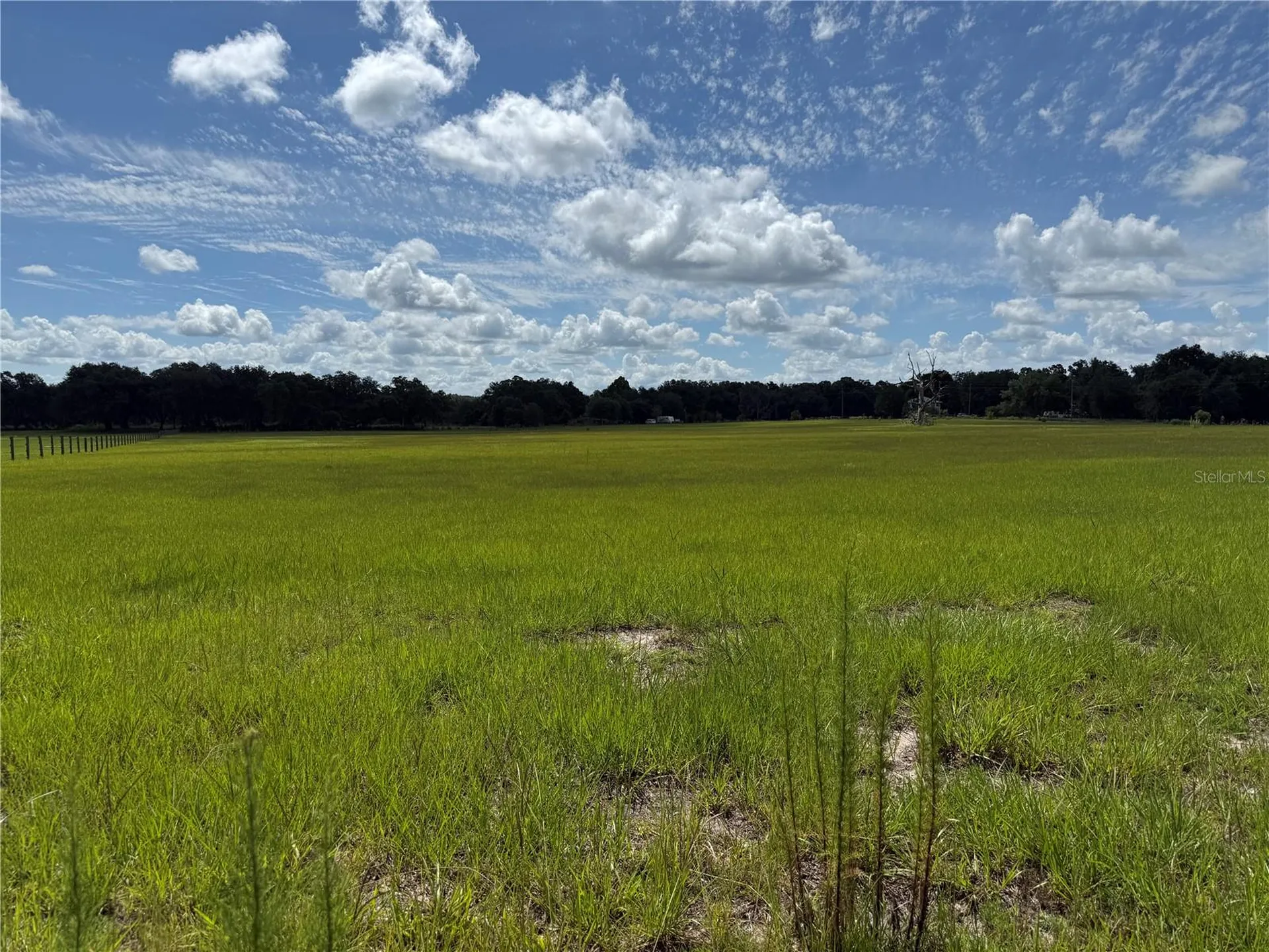 SW 60th Avenue Bushnell FL 33513