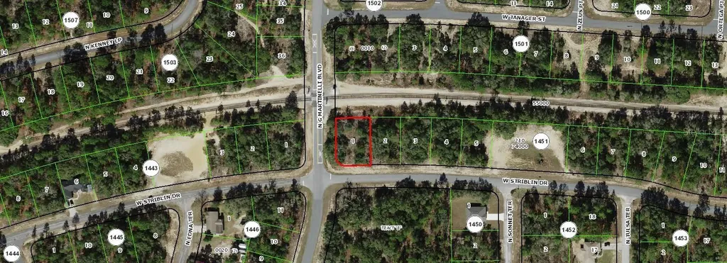 11241 N G Martinelli Boulevard Citrus Springs FL 34433