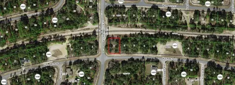 11241 N G Martinelli Boulevard Citrus Springs FL 34433