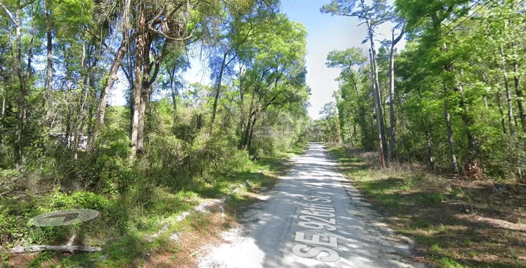 Tbd SE 926th Street Street Old Town FL 32680