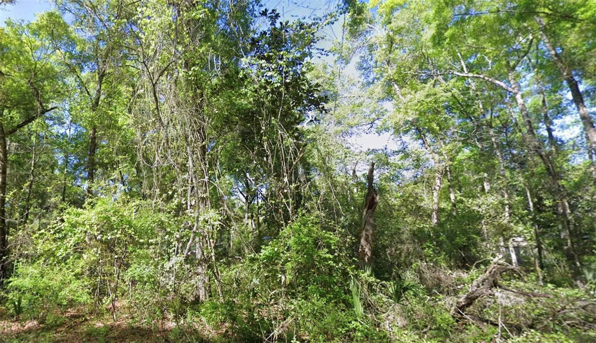 Tbd SE 926th Street Street Old Town FL 32680