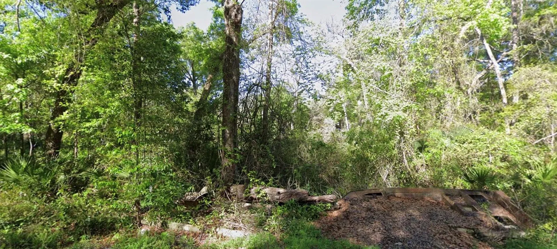 000 926th Street Old Town FL 32680