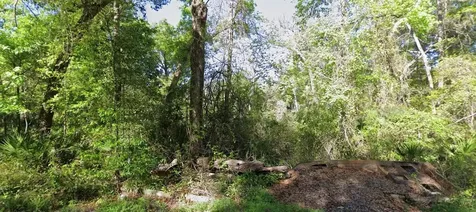 000 926th Street Old Town FL 32680