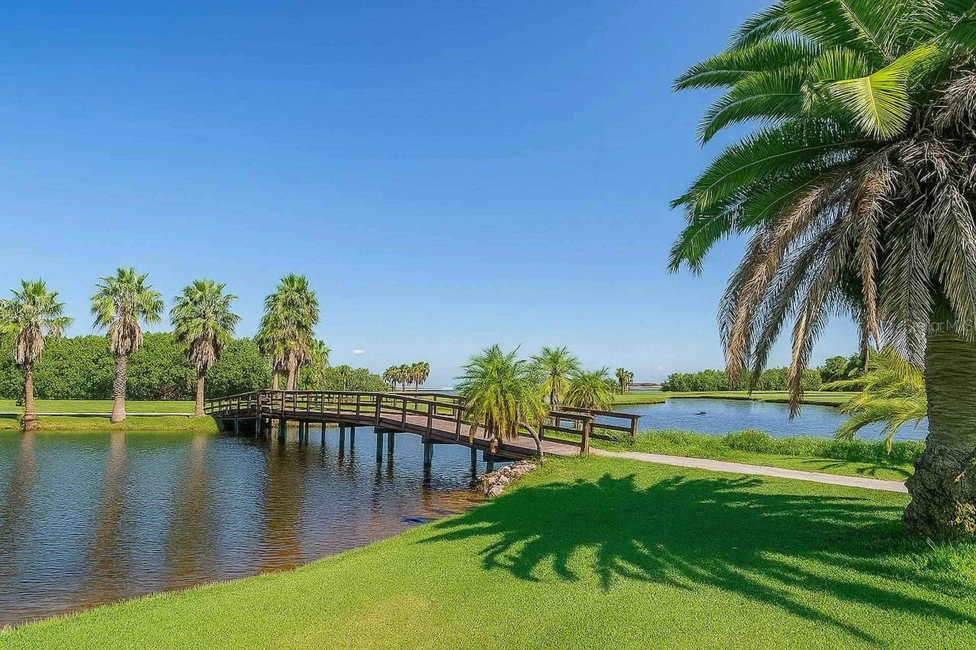 2615 Cove Cay Drive Clearwater FL 33760