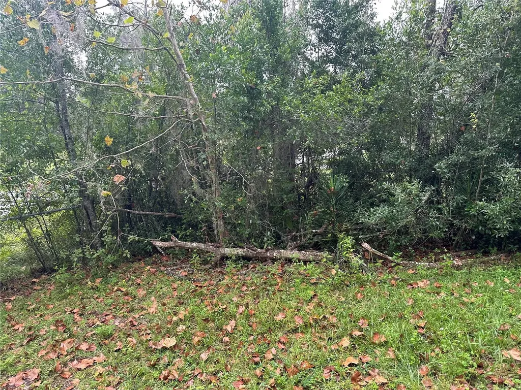 2713 Adams Street W Inverness FL 34453