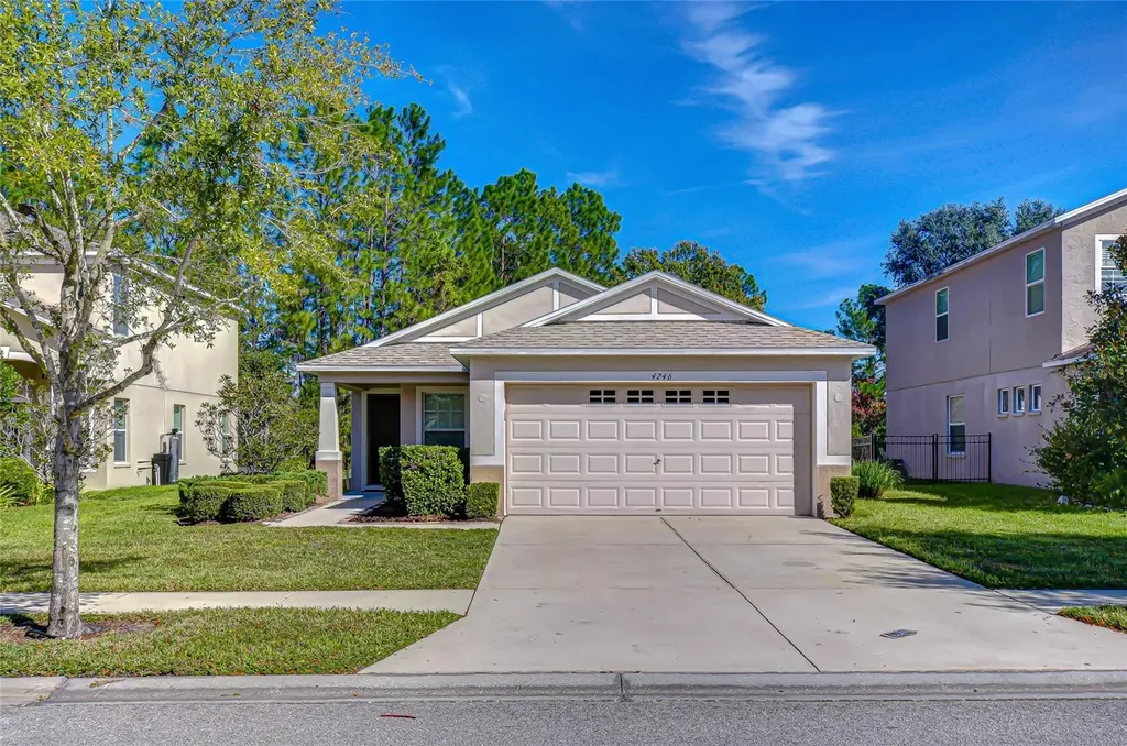 4246 Warwick Hills Drive Wesley Chapel FL 33543
