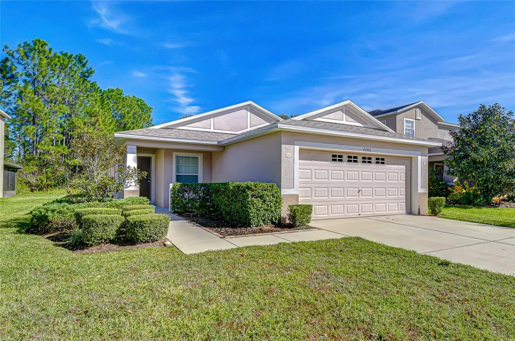 4246 Warwick Hills Drive Wesley Chapel FL 33543