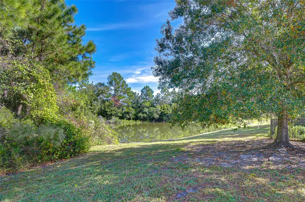 4246 Warwick Hills Drive Wesley Chapel FL 33543