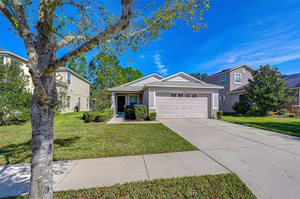 4246 Warwick Hills Drive Wesley Chapel FL 33543