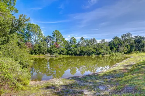 4246 Warwick Hills Drive Wesley Chapel FL 33543