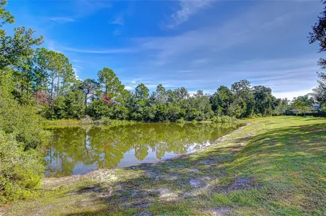 4246 Warwick Hills Drive Wesley Chapel FL 33543