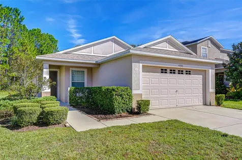 4246 Warwick Hills Drive Wesley Chapel FL 33543