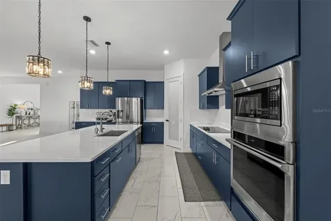 9185 Sanders Tree Loop Wesley Chapel FL 33545