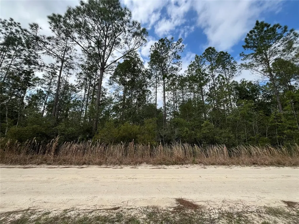 215 Royal Avenue Interlachen FL 32148