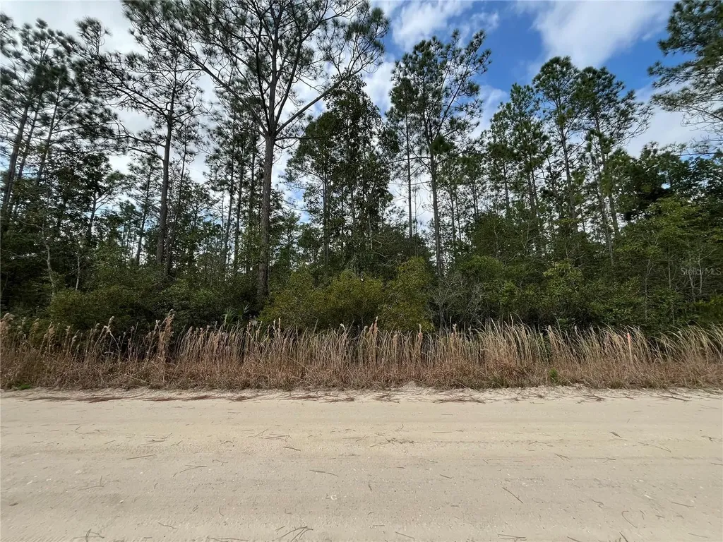 215 Royal Avenue Interlachen FL 32148