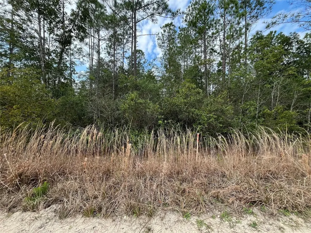 215 Royal Avenue Interlachen FL 32148
