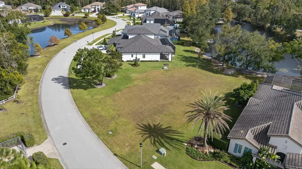 3926 Cove Lake Place Land O Lakes FL 34639
