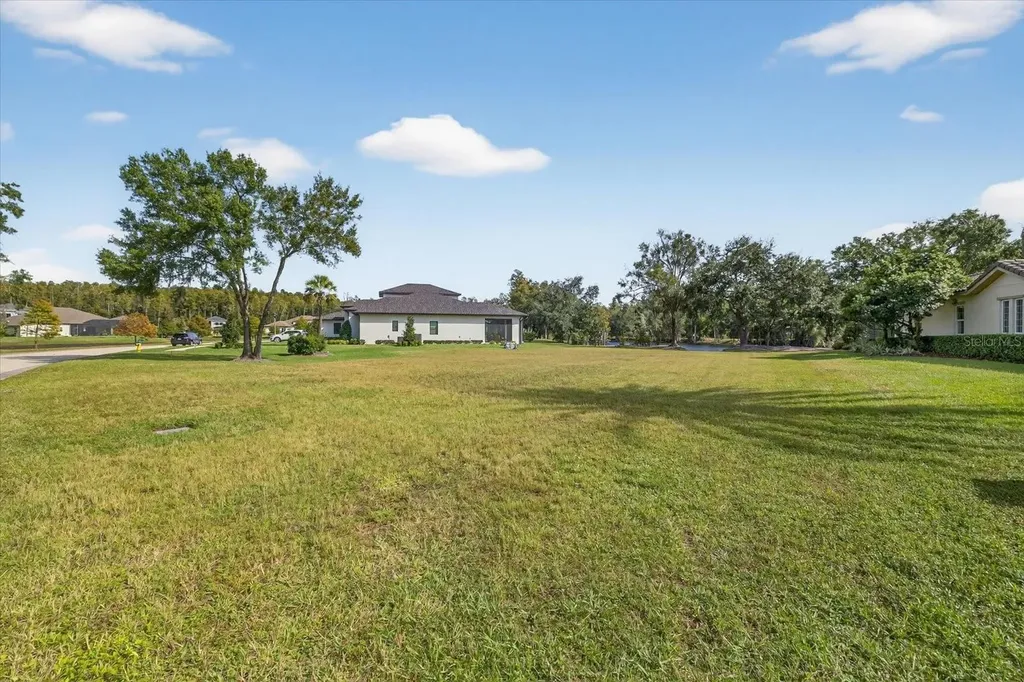 3926 Cove Lake Place Land O Lakes FL 34639