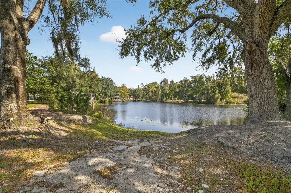 3926 Cove Lake Place Land O Lakes FL 34639