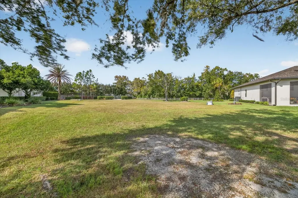 3926 Cove Lake Place Land O Lakes FL 34639