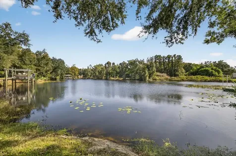 3926 Cove Lake Place Land O Lakes FL 34639