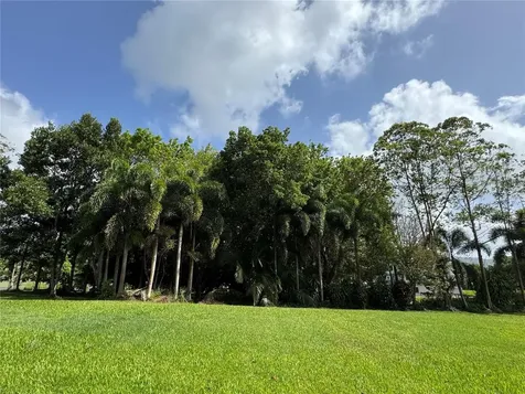 LOT-1 Estancias De Beatriz Dev., Beatriz Ward Cayey PR 00736