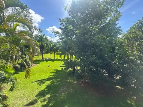 LOT-1 Estancias De Beatriz Dev., Beatriz Ward Cayey PR 00736