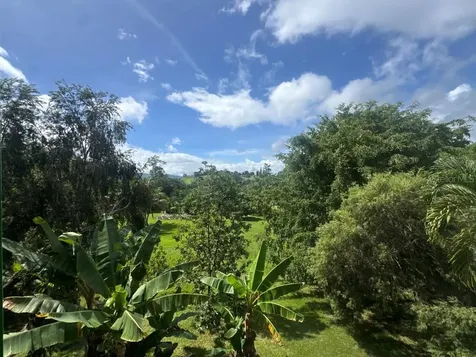 LOT-1 Estancias De Beatriz Dev., Beatriz Ward Cayey PR 00736