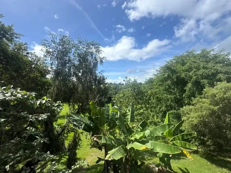 LOT-1 Estancias De Beatriz Dev., Beatriz Ward Cayey PR 00736