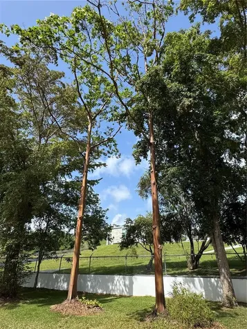 LOT-1 Estancias De Beatriz Dev., Beatriz Ward Cayey PR 00736