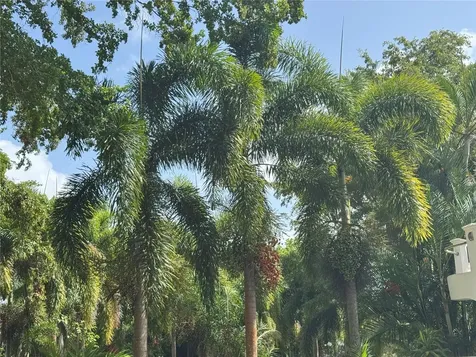 LOT-1 Estancias De Beatriz Dev., Beatriz Ward Cayey PR 00736