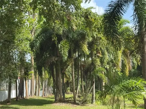 LOT-1 Estancias De Beatriz Dev., Beatriz Ward Cayey PR 00736