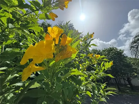 LOT-1 Estancias De Beatriz Dev., Beatriz Ward Cayey PR 00736