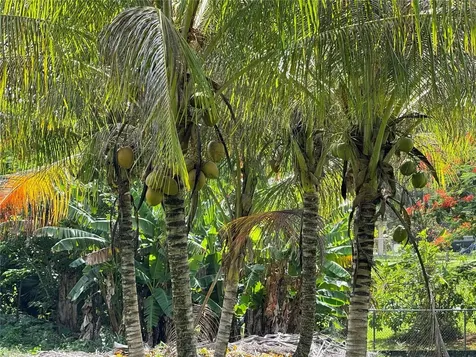 LOT-1 Estancias De Beatriz Dev., Beatriz Ward Cayey PR 00736