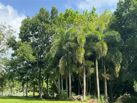 LOT-1 Estancias De Beatriz Dev., Beatriz Ward Cayey PR 00736