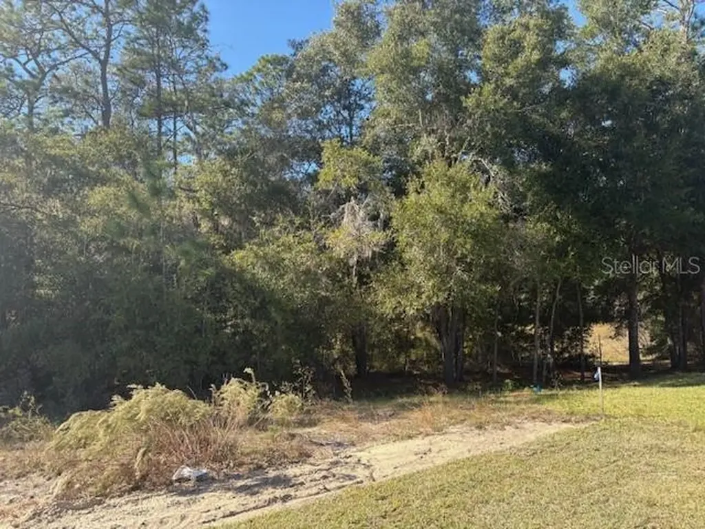 7758 SW 180th Circle Dunnellon FL 34432