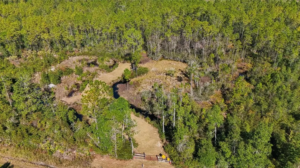 NE 212th Street Road Fort Mc Coy FL 32134