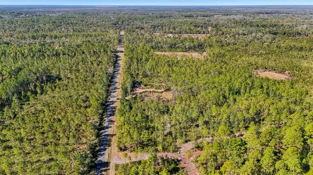 NE 212th Street Road Fort Mc Coy FL 32134