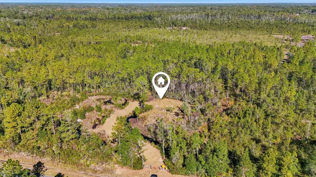 NE 212th Street Road Fort Mc Coy FL 32134