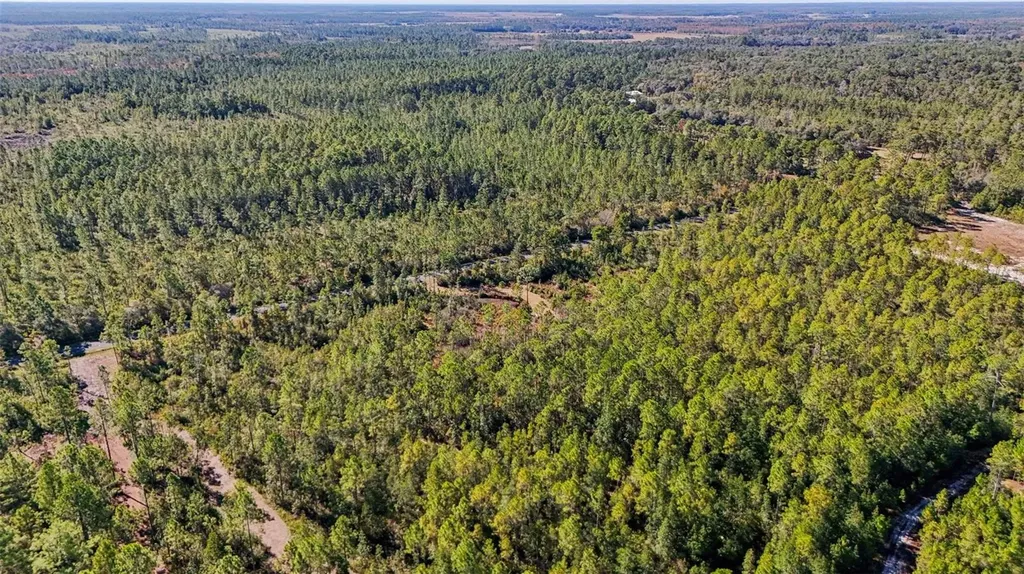 NE 212th Street Road Fort Mc Coy FL 32134