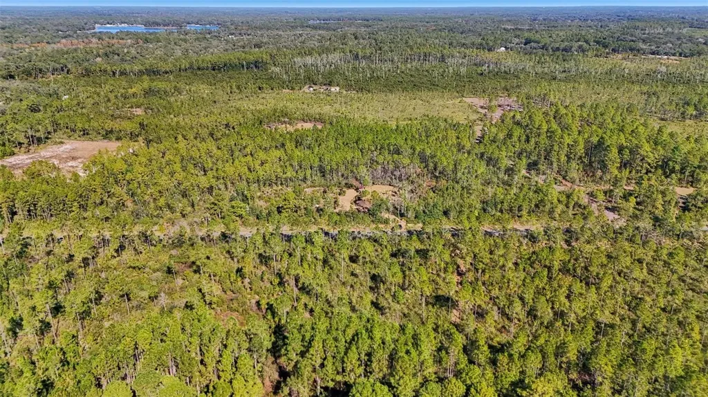 NE 212th Street Road Fort Mc Coy FL 32134