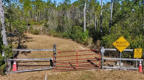 NE 212th Street Road Fort Mc Coy FL 32134