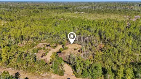 NE 212th Street Road Fort Mc Coy FL 32134